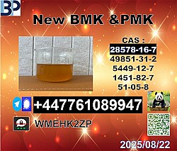 New P.M.K oil 28578-16-7 B.M.K Powder 5449-12-7 Global supply