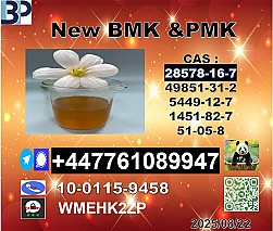 New P.M.K 28578-16-7 B.M.K Powder 5449-12-7 Versatile Oil and Powder