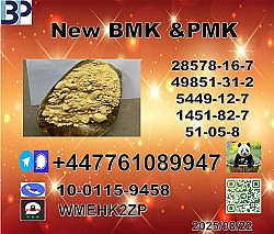 New B.M.K 5449-12-7 P.M.K Powder 28578-16-7 Direct Manufacturer