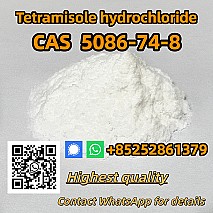 Tetramisole Hydrochloride  Cas 5086-74-8