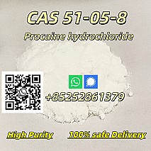 High Quality CAS 51-05-8 Hydrochloride HCl