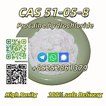 High Quality CAS 51-05-8 Hydrochloride HCl