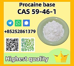 Buy CAS 59-46-1 Procaine Bulk Orders