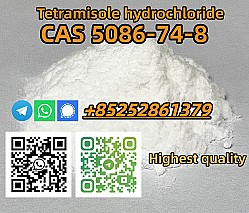 Tetramisole Hydrochloride  Cas 5086-74-8