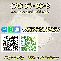 High Quality CAS 51-05-8 Hydrochloride HCl