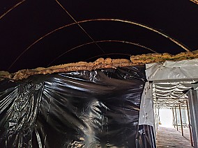 300 m2-es szigetelt fóliasátor Zákányszéken