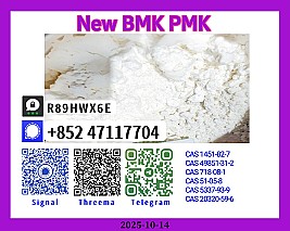 High Quality New 28578-16-7 and 49851-31-2