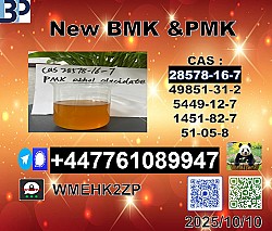 Good Reputation PMK 28578-16-7 and bmk 5449-12-7,20320-59-6