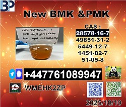 Hot sale 28578-16-7 ,1369021-80-6 PMK and 5449-12-7 BMK Powder
