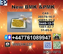 49851-31-2 BVF and 1451-82-7 BK4,2b4m and 123-75-1 High-qualtiy