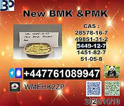 BMK 5449-12-7,20320-59-6 ,PMK Glycidate 28578-16-7 Global supply