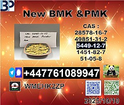 BMK 5449-12-7,20320-59-6 ,PMK Glycidate 28578-16-7 Global supply