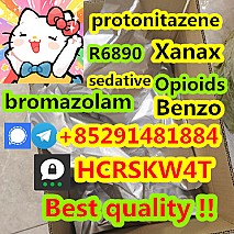 Protonitazene cas 119276-01-6 +85291481884
