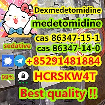 Medetomidine cas 86347-15-1 cas 86347-14-0 +85291481884