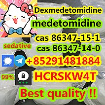 Medetomidine cas 86347-15-1 cas 86347-14-0 +85291481884