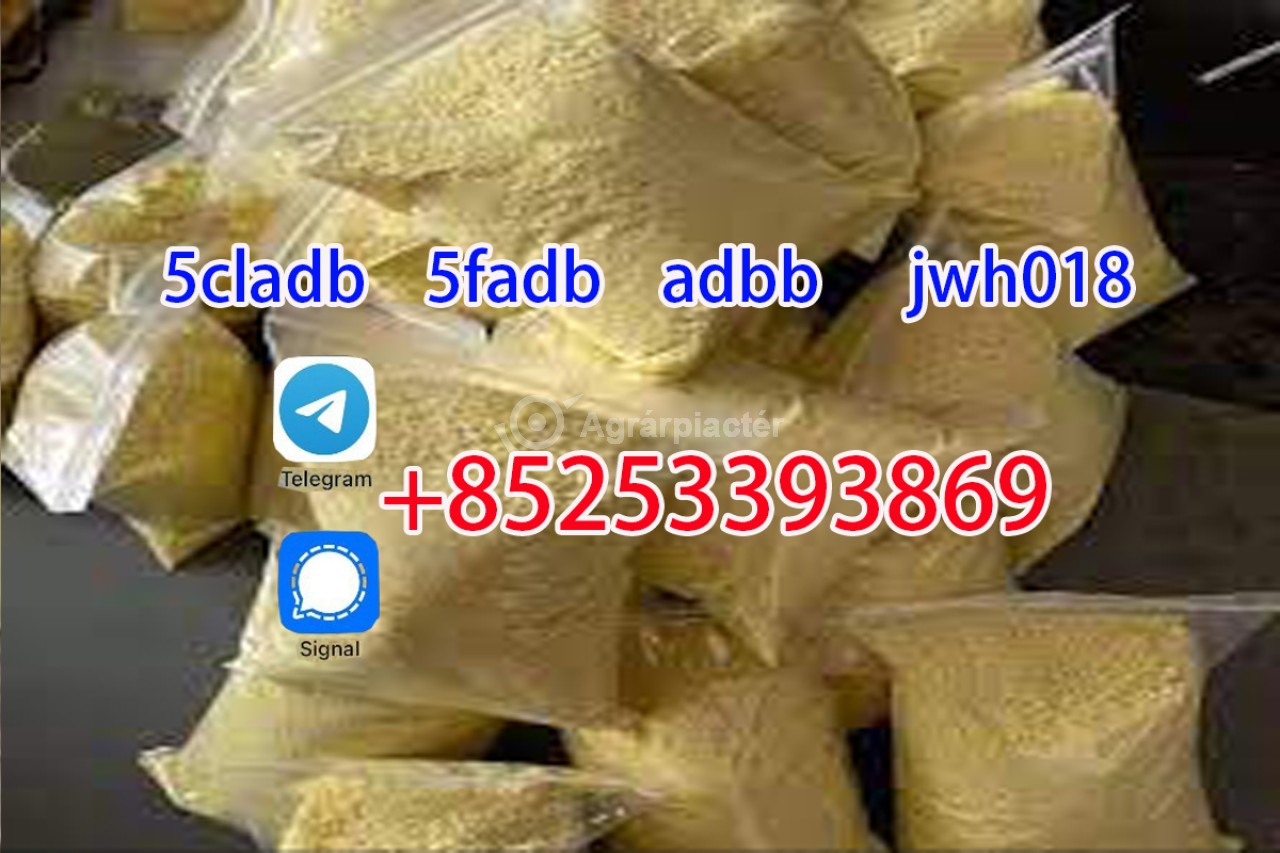 Large supply208-460-6 adbb1451-83-8 4f adb  5cladba