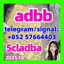 5cladba raw material 5CL-ADB-A precursor raw 5cladba 5f adb 4fadb