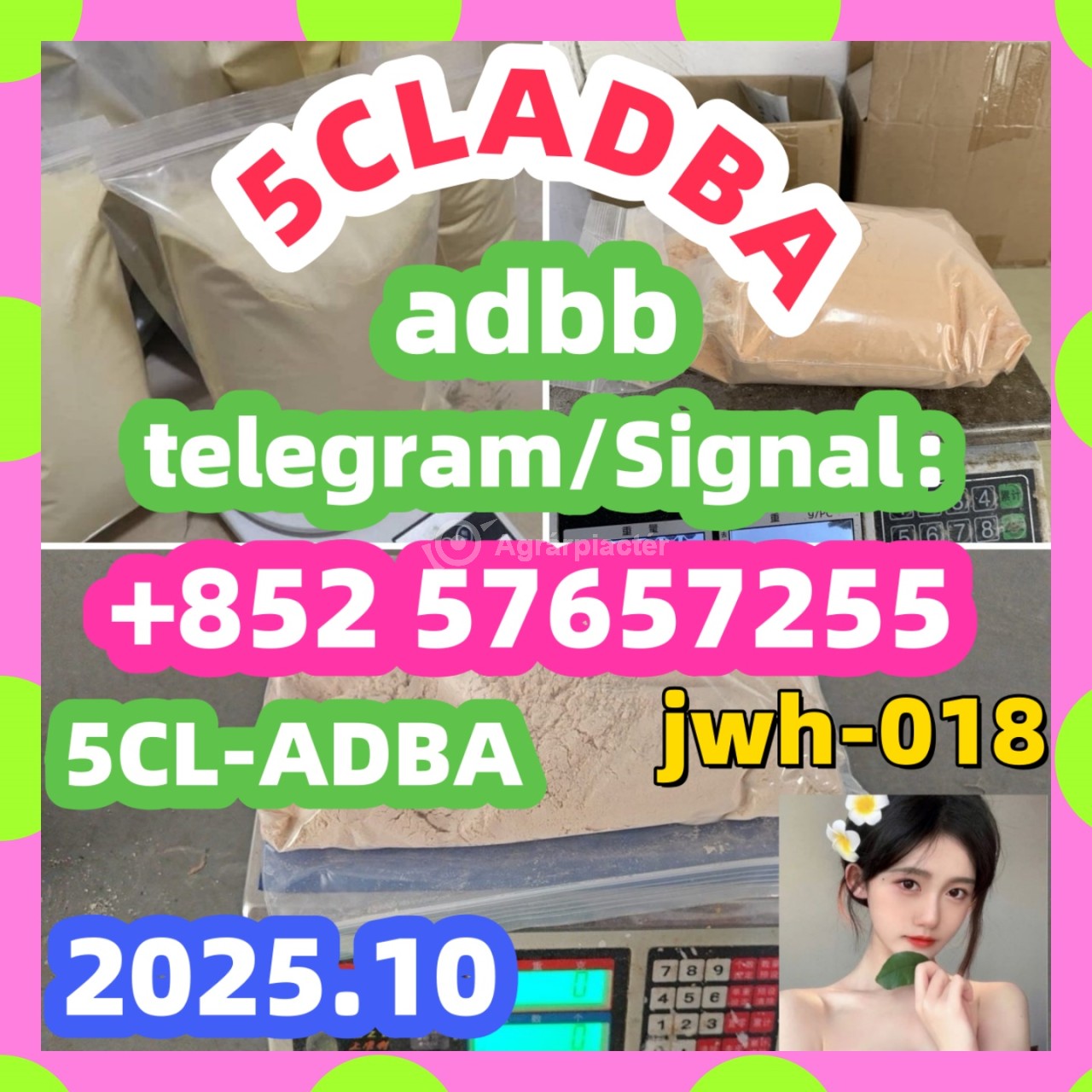 5cladb 5CL-ADB-a High quality Powder 5cladba Raw material Adbb