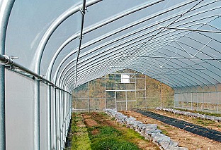 Új, gyári csomagolásban eladó egy 10x25m-es függőleges oldalú, gótikus alakú fóliaház.