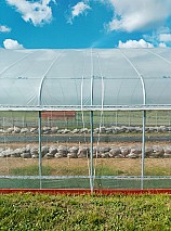 Új, gyári csomagolásban eladó egy 10x25m-es függőleges oldalú, gótikus alakú fóliaház.