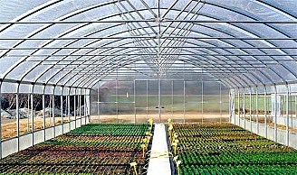 Új, gyári csomagolásban eladó egy 10x25m-es függőleges oldalú, gótikus alakú fóliaház.