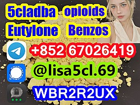 Medetomidine cas 86347-15-1 white powder