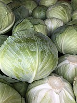 Étkezési fejes káposzta eladó