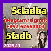 5cl 5cladba best cannabinoid 5cladba precursor raw 5cl-adb-a materi