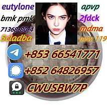 eutylone,mdma,2fdck,cas:802855-66-9 ,High concentrations(+853 66541771)