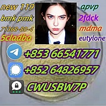 protonitazene,cas:119276-01-6,High concentrations(+853 66541771)