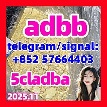 5cladba 5cl precursors 5cl-adb-a 5cladb-a 6cladba k2 powder spice raw materials DMF 5 bromine K9