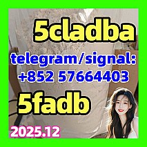 5CL-ADB supplier 5cladba 5cladb vendor on sale
