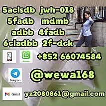 5cl-adb-a 5cl-adb-a 5cladba 4cladb Yellow/white Safedelivery, +920 at Best Price