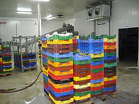 Zalaegerszegen élelmiszergyártó üzem-hűtőház eladó