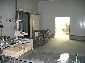 Zalaegerszegen élelmiszergyártó üzem-hűtőház eladó