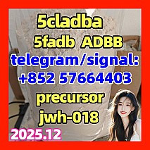 5cladba 5cl precursors 5cl-adb-a 5cladb-a 6cladba k2 powder spice raw materials DMF