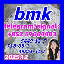 BMK Glycidic Acid (sodium salt) CAS 5449-12-7