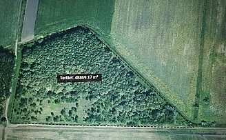 4,5 ha erdö+legelő eladó vagy kiadó