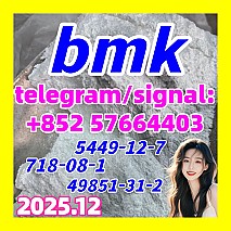 Bmk Powder Oily Liquid Cas 5449-12-7 at Best Price