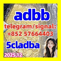 5cladba-adbb-raw-materials-jwh-018-5f-adb-precursor-5cladba,