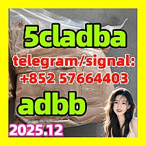 adbb 5cladba 5fadba 4fadba cannabinoid 5cladba,5f , 6cladba 5cladba 5CLADBA 5cl -adb-a cannabinoid