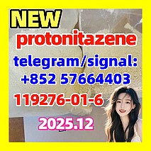 Protonitazene (hydrochloride) 119276-01-6 认为斯特