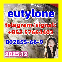 CAS：802855-66-9 eutylone PowerPoint Presentation, free download