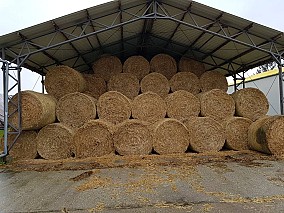 Nyugat-Dunántúlon működő baromfinevelő telep eladó