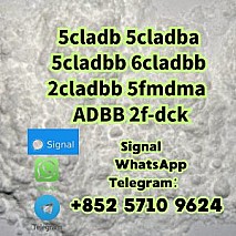99% pure 5cl adbb 5cladba 5cladbb precusor raw powder with best price
