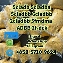 99% pure 5cl adbb 5cladba 5cladbb precusor raw powder with best price