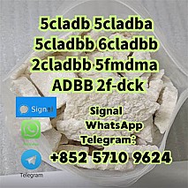 99% pure 5cl adbb 5cladba 5cladbb precusor raw powder with best price