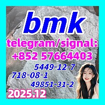 CAS 5449-12-7 BMK Glycidic Acid (sodium salt) With Best Price