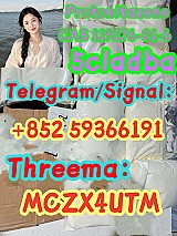 Protonitazene CAS 119276-01-6