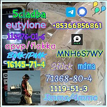 86347-14-0 good quality Medetomidine hot sale